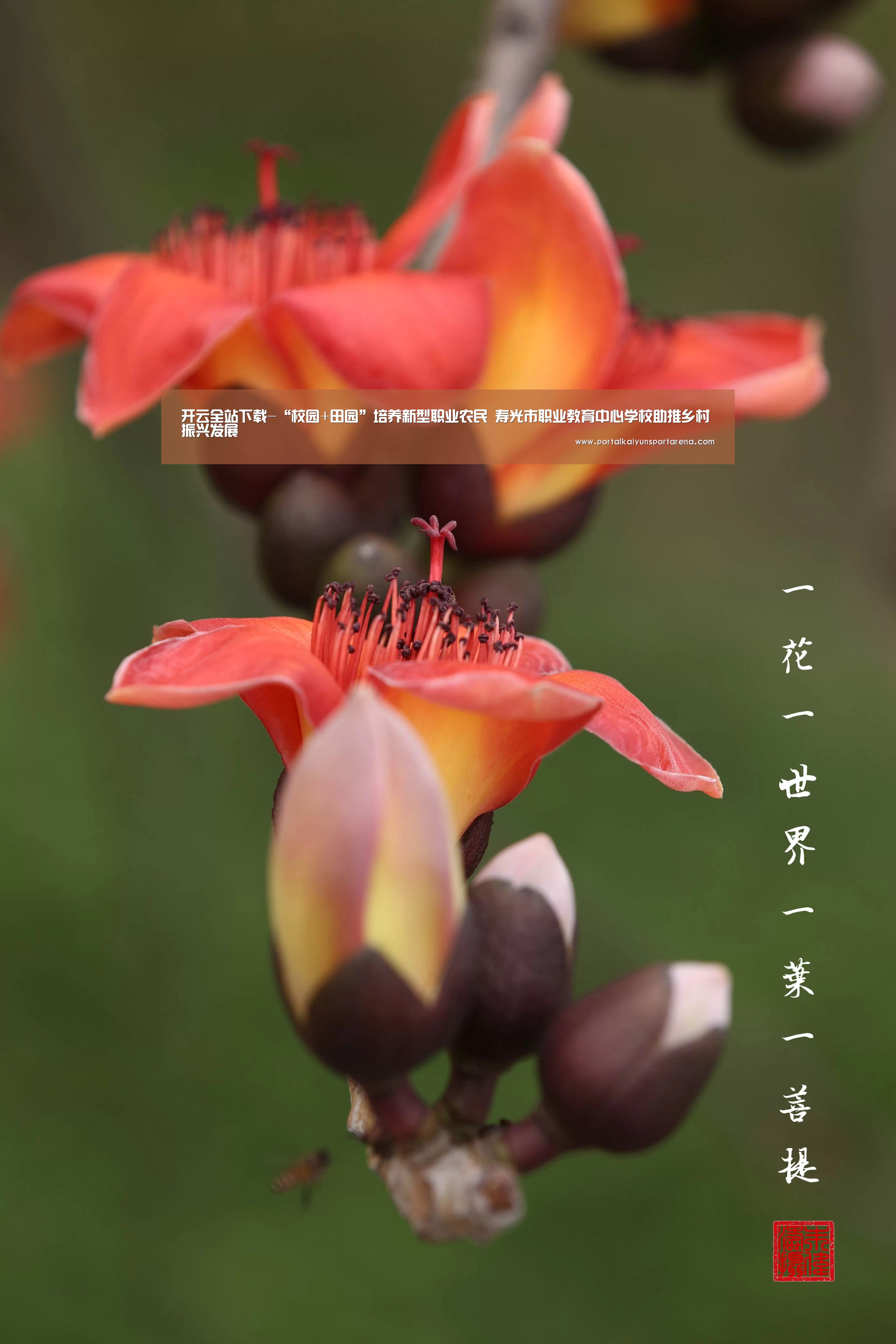 开云全站下载-“校园+田园”培养新型职业农民 寿光市职业教育中心学校助推乡村振兴发展