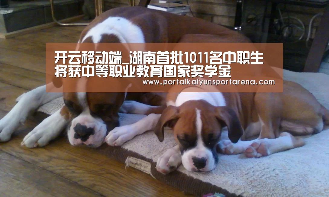 开云移动端_湖南首批1011名中职生将获中等职业教育国家奖学金(图3) 开云移动端