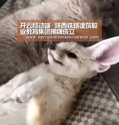 开云移动端
